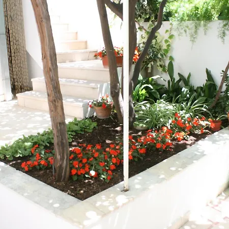 Apartmán By The Sea Podgora, Makarska - 6683 *